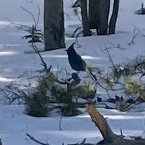 Meet your Posher, Terrell